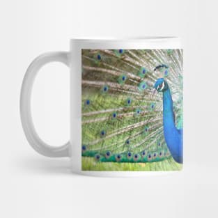 Peacock Mug